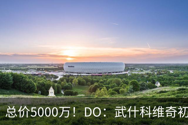 总价5000万！DO：武什科维奇初始转会费4600万镑，热刺有二转分成